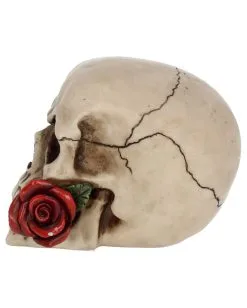Beiger Totenschädel Mit Roter Rose 15cm 8 Beiger Totenschädel Mit Roter Rose 15cm -Karneval Universe Verkäufe beiger totenkopf mit roter rose beiger totenschaedel mit roter rose antic skull with red rose 53389 03