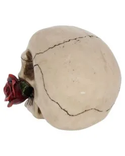Beiger Totenschädel Mit Roter Rose 15cm 9 Beiger Totenschädel Mit Roter Rose 15cm -Karneval Universe Verkäufe beiger totenkopf mit roter rose beiger totenschaedel mit roter rose antic skull with red rose 53389 04