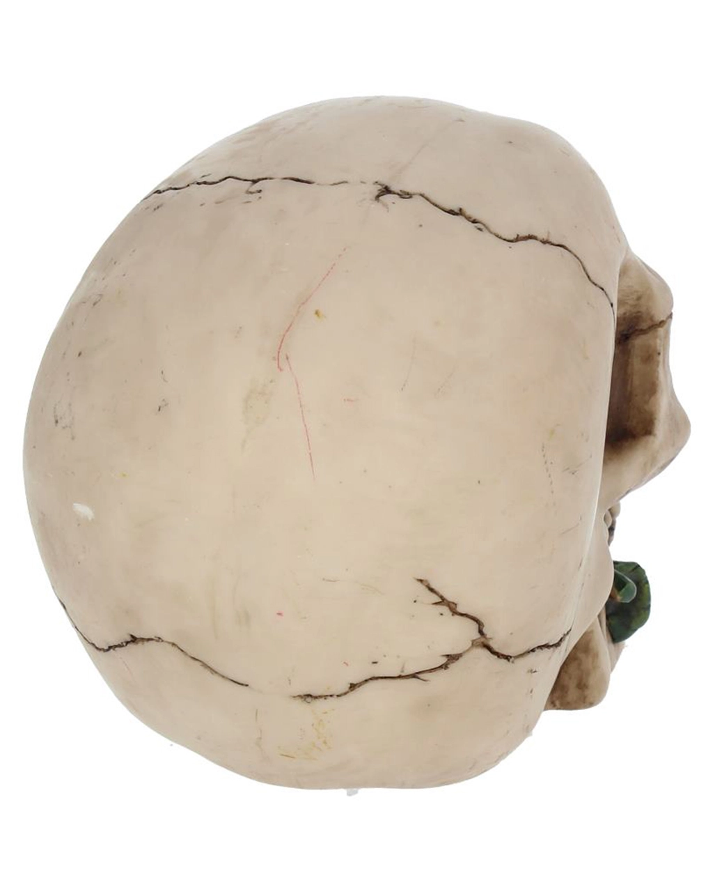 Beiger Totenschädel Mit Roter Rose 15cm 5 Beiger Totenschädel Mit Roter Rose 15cm – Bild 5