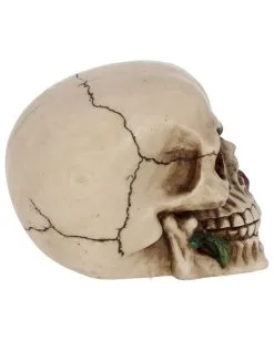 Beiger Totenschädel Mit Roter Rose 15cm 11 Beiger Totenschädel Mit Roter Rose 15cm -Karneval Universe Verkäufe beiger totenkopf mit roter rose beiger totenschaedel mit roter rose antic skull with red rose 53389 06
