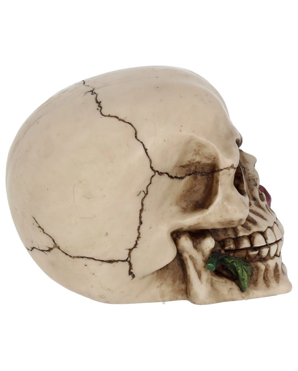 Beiger Totenschädel Mit Roter Rose 15cm 6 Beiger Totenschädel Mit Roter Rose 15cm – Bild 6