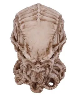 Cthulhu Totenkopf 20cm 12 Cthulhu Totenkopf 20cm -Karneval Universe Verkäufe cthulhu totenschaedel cthulhu totenkopf cthulhu skull 50572 06