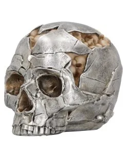 Fraktur Totenschädel 16cm -Karneval Universe Verkäufe fracture totenkopf fracture totenschaedel fracture skull gothic deko 54583 04