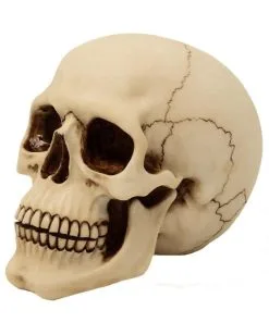 Graveyard Totenschädel Large