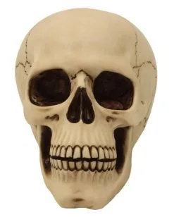 Graveyard Totenschädel Large 5 Graveyard Totenschädel Large -Karneval Universe Verkäufe graveyard totenkopf large graveyard totenschaedel graveyard skull large gothic deko 52351 02