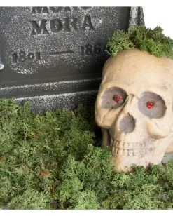 Halloween Deko Moos 100 G