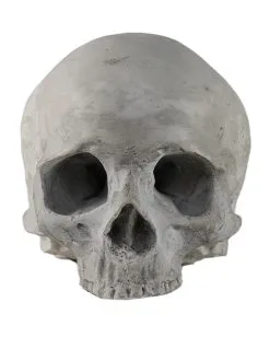 J. DOE Totenschädel 17cm 5 J. DOE Totenschädel 17cm -Karneval Universe Verkäufe j doe totenkopf j doe totenschaedel ghotic totenkopf gothic wohnaccessoire gothic homware 54856 03
