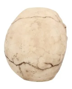 Kleiner Grinsender Totenkopf 12cm -Karneval Universe Verkäufe kleiner grinsender totenschaedel small joker skull totenkopf dekoration gothic deko 50730 05