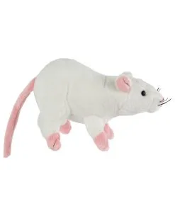 Weiße Plüschratte 19cm 5 Weiße Plüschratte 19cm -Karneval Universe Verkäufe kuscheltier ratte 19cm weiss plueschratte fuer kinder geschenkartikel plueschtier ratte 29709 2