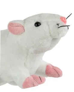 Weiße Plüschratte 19cm 7 Weiße Plüschratte 19cm -Karneval Universe Verkäufe kuscheltier ratte 19cm weiss plueschratte fuer kinder geschenkartikel plueschtier ratte 29709 4