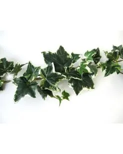 Mehrfarbige Efeugirlande 180cm -Karneval Universe Verkäufe mehrfarbige efeugirlande halloween efuegirlande variegarted ivy garland halloween deko 53712 03