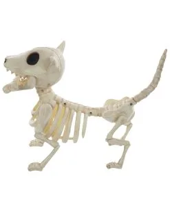 Hunde Skelett Mit Knochen 27cm -Karneval Universe Verkäufe skelett hund mit knochen hunde skelett mit knochen skeleton dog with bone 52641 03