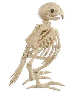 Papagei Skelett 19cm 6 Papagei Skelett 19cm -Karneval Universe Verkäufe skelett papagei skeleton parrot halloween dekoration 52638 03