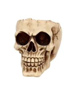 Realistische Totenschädel Schale Mit Offener Schädeldecke -Karneval Universe Verkäufe totenschaedel schale mit offener schaedeldecke realistic skull mug morbide gothic deko halloween deko totenschaedel 39289 3