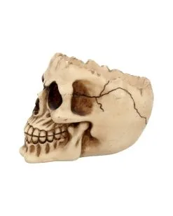 Realistische Totenschädel Schale Mit Offener Schädeldecke -Karneval Universe Verkäufe totenschaedel schale mit offener schaedeldecke realistic skull mug morbide gothic deko halloween deko totenschaedel 39289 4