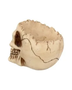 Realistische Totenschädel Schale Mit Offener Schädeldecke -Karneval Universe Verkäufe totenschaedel schale mit offener schaedeldecke realistic skull mug morbide gothic deko halloween deko totenschaedel 39289 5