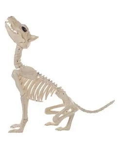 Werwolf Skelett 70cm 5 Werwolf Skelett 70cm -Karneval Universe Verkäufe werwolf skelett werwolf skeleton halloween skelett halloween deko 52649 03