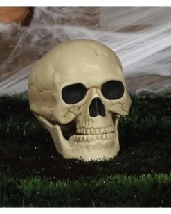 Wetterfester Totenschädel Mit Beweglichem Kiefer 20cm -Karneval Universe Verkäufe wetterfester totenkopf mit beweglichem kiefer weatherproof skull with moveable jaw halloween totenschaedel 53405 04