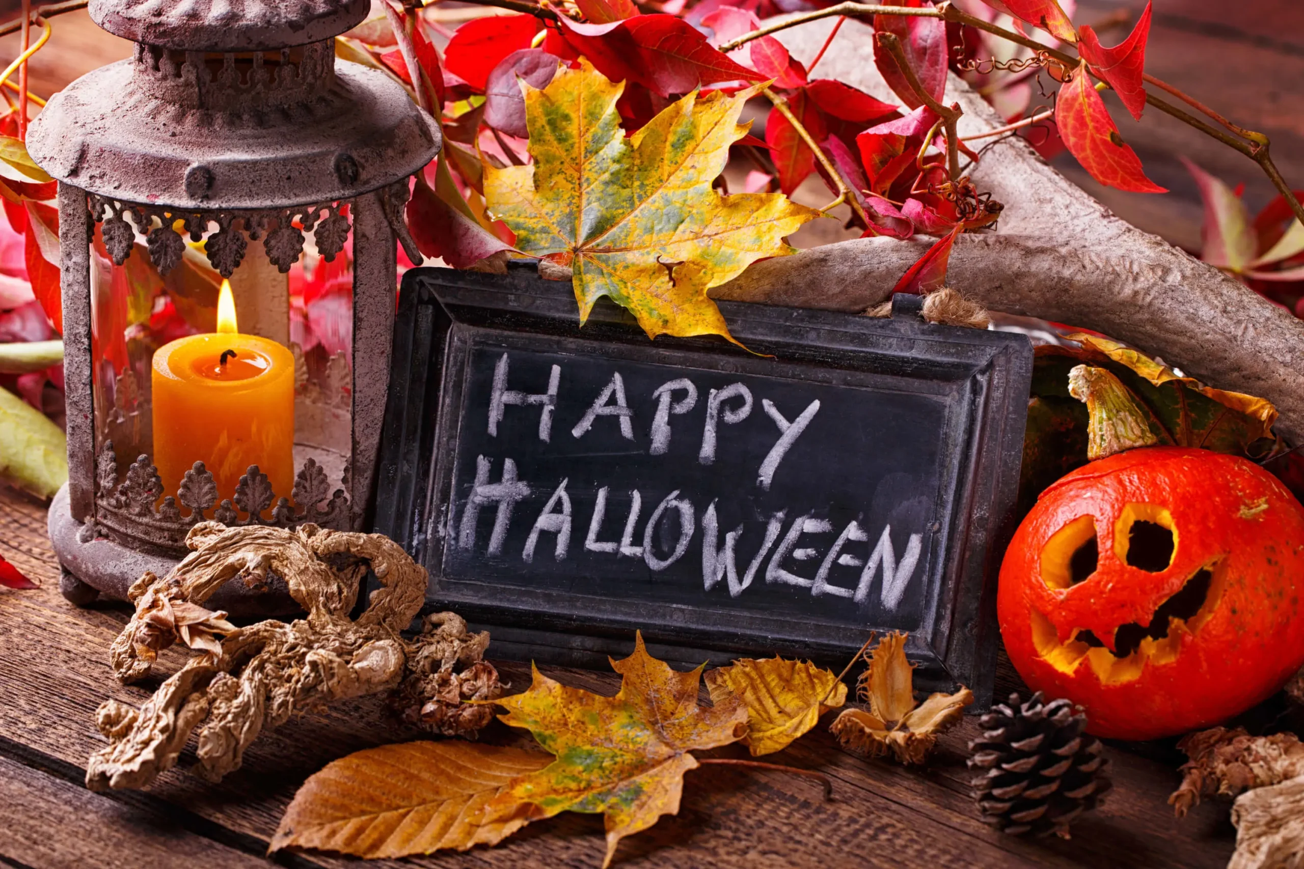 Karneval Universe Store -Karneval Universe Verkäufe AdobeStock 70759528 1 scaled